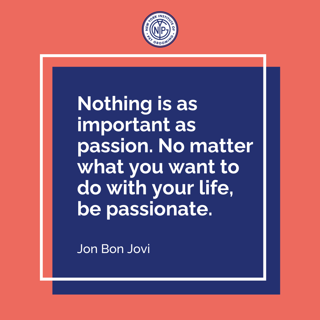 Build a career around something you love
