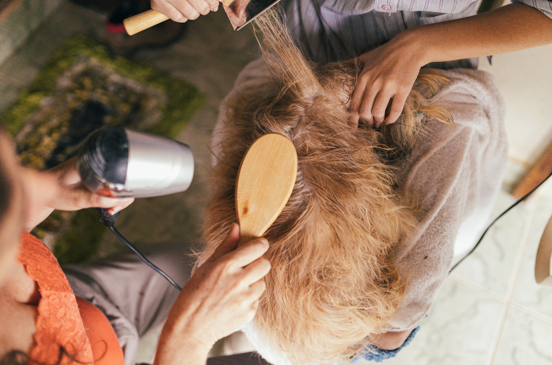 Tools Every Successful Pet Groomer Needs