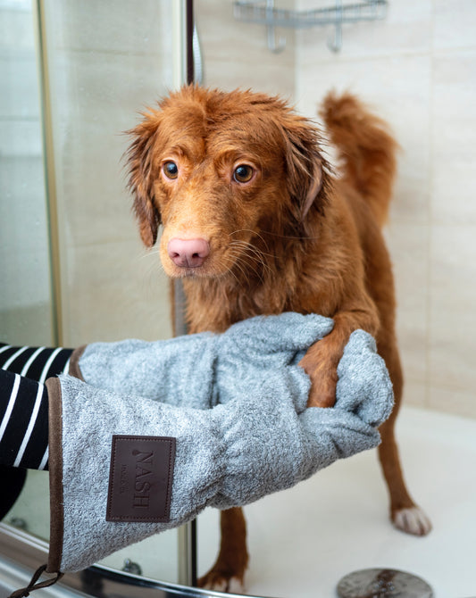 How To Choose The Right Pet Grooming School for You